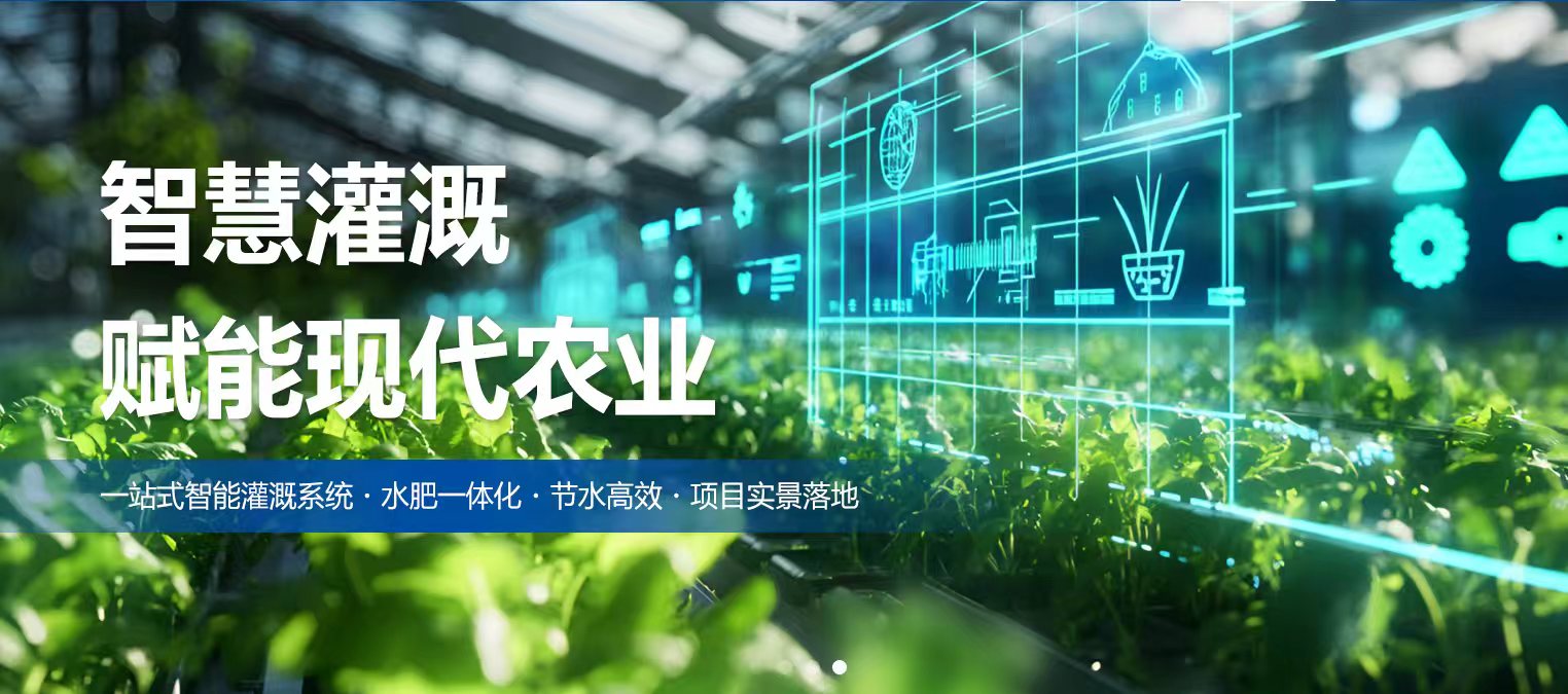 项目案例